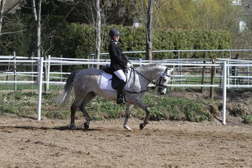 Bild 313 - WBO-Turnier am 9.4.11